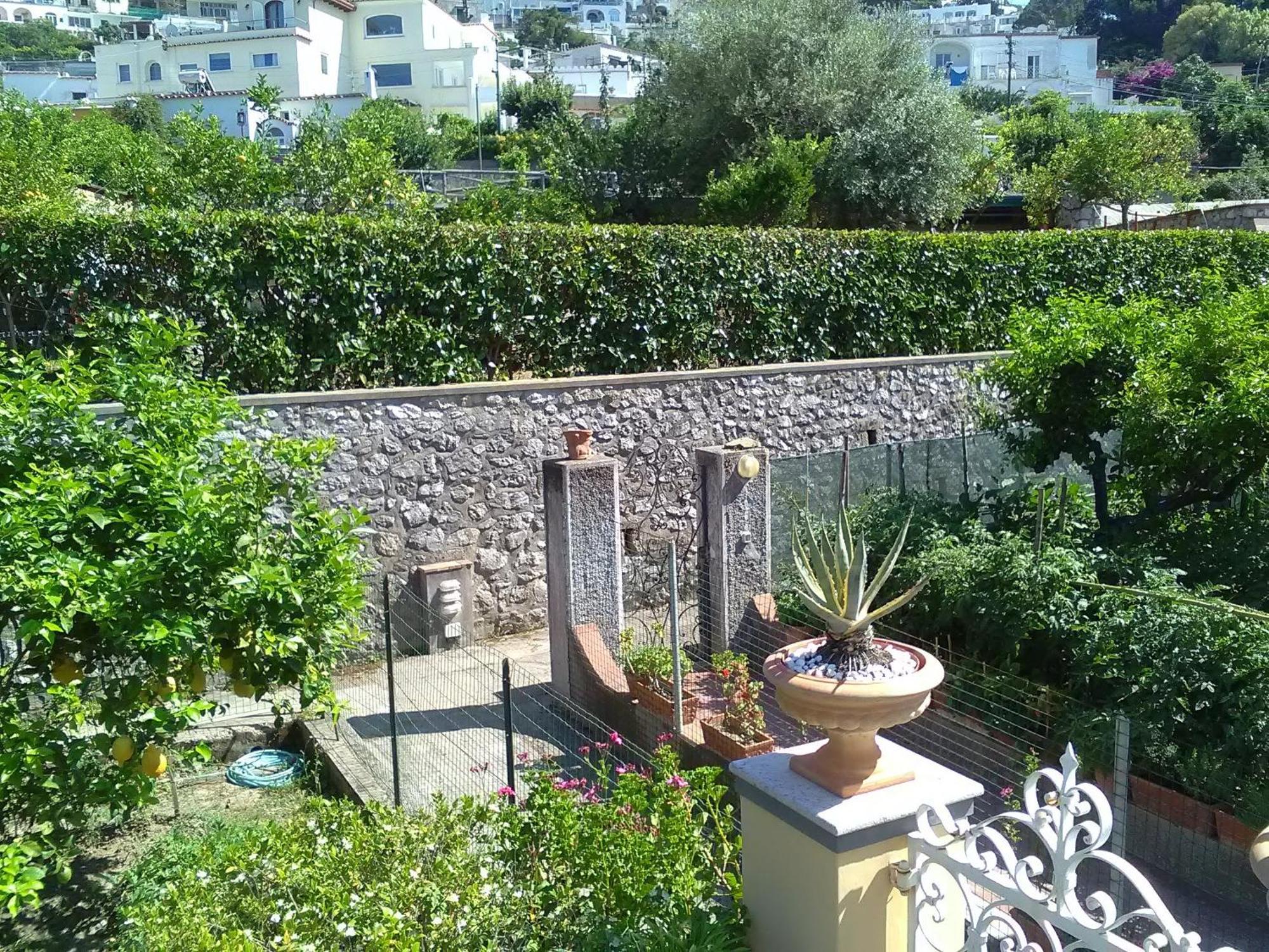 U' Pizzico Bed & Breakfast Capri Ngoại thất bức ảnh